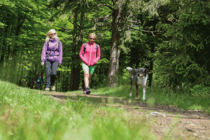 Wandern im Bayerischen Wald