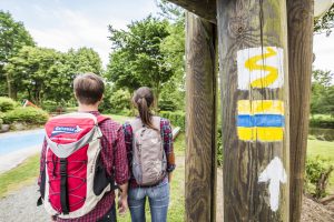 Wandern am Goldsteig im Oberpfälzer Wald