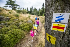 Wandern am Nurtschweg im Oberpfälzer Wald