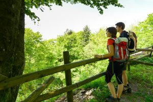 Wandern am Goldsteig im Bayerischen Wald