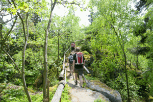 Wandern am Goldsteig im Bayerischen Wald