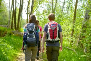 Wandern im Bayerischen Wald