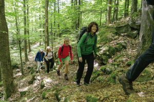 Wandern am Goldsteig bei Waldmünchen und Furth im Wald