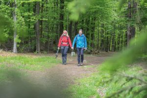 Wanderer am Goldsteig